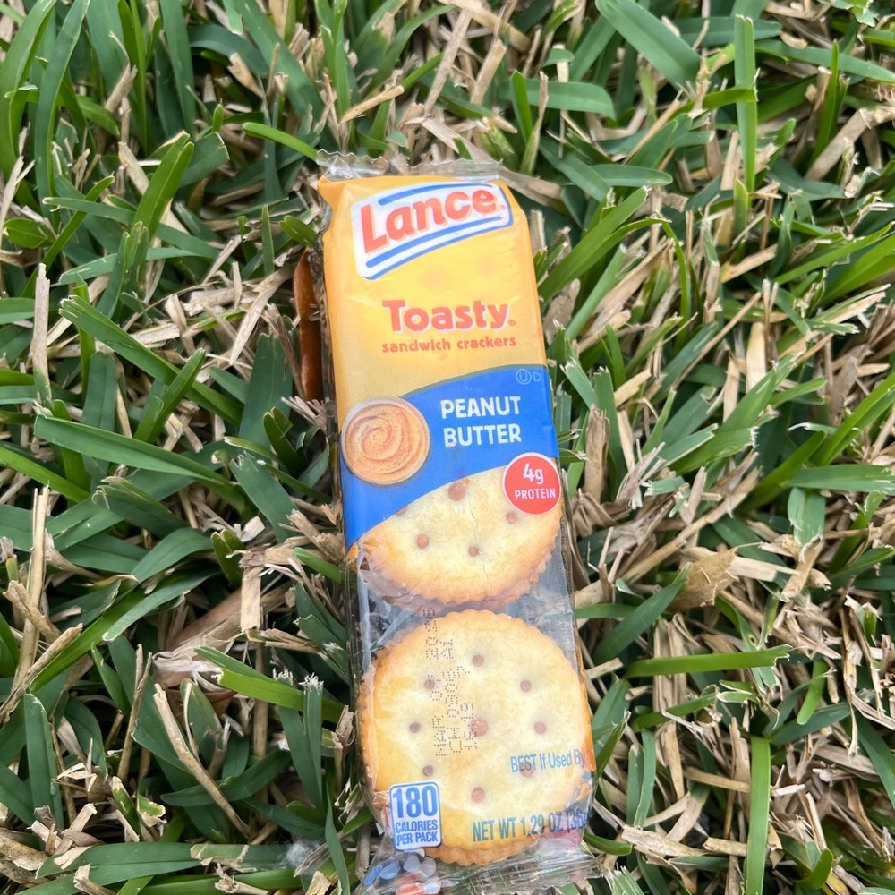 Lance Toasty Peanut Butter Sandwich Crackers - Orange and Blue